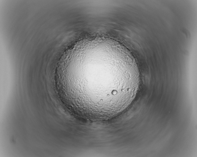 X0000115151393200911101719