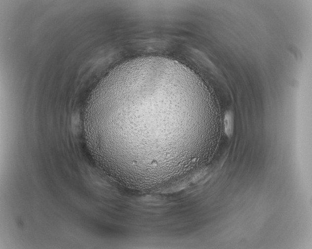 X0000115151395200911101719