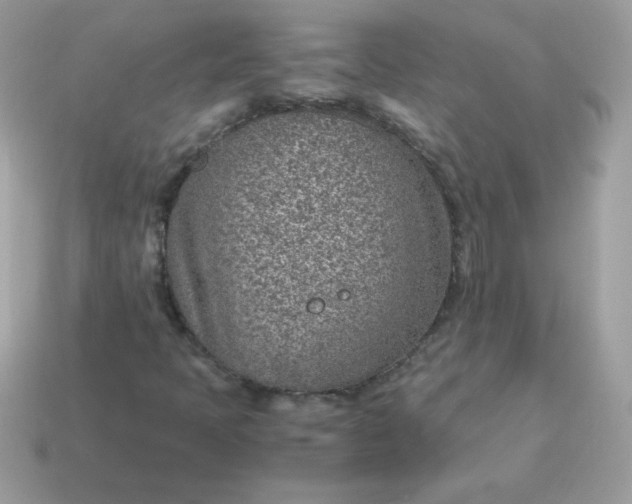 X0000115151397200911101719