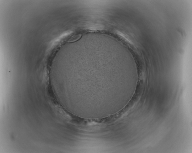 X0000115151398200911101719