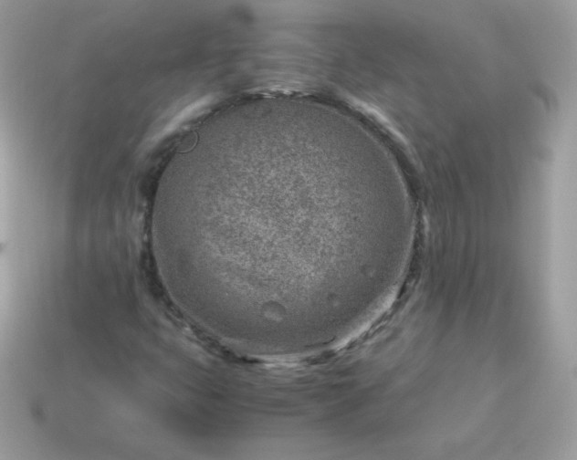 X0000115151399200911101719