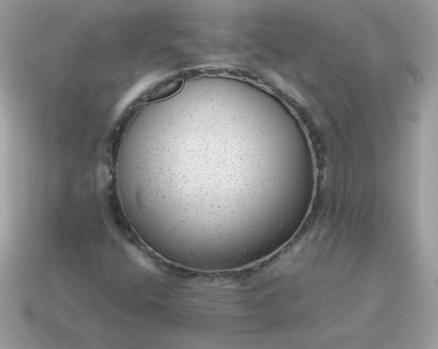 X0000115151400200911101719