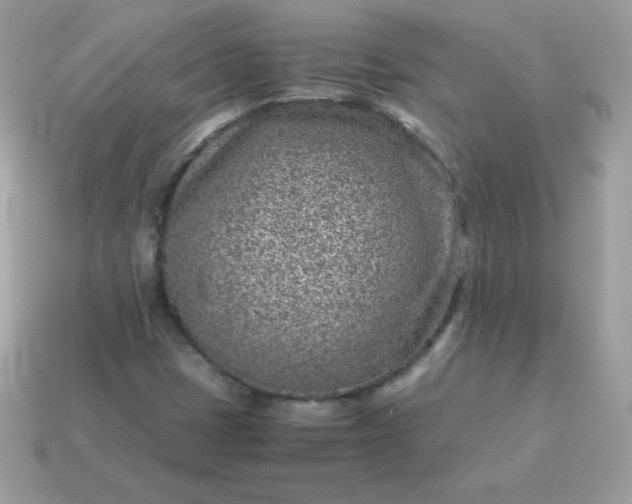 X0000115151401200911101719
