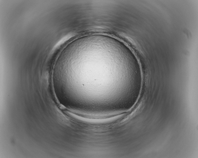 X0000115151402200911101719