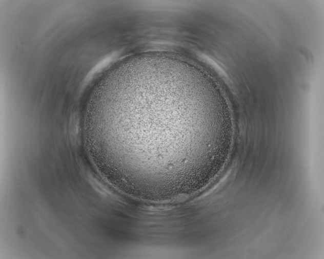X0000115151403200911101719