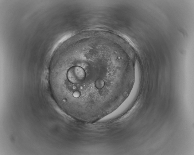 X0000115151405200911101720