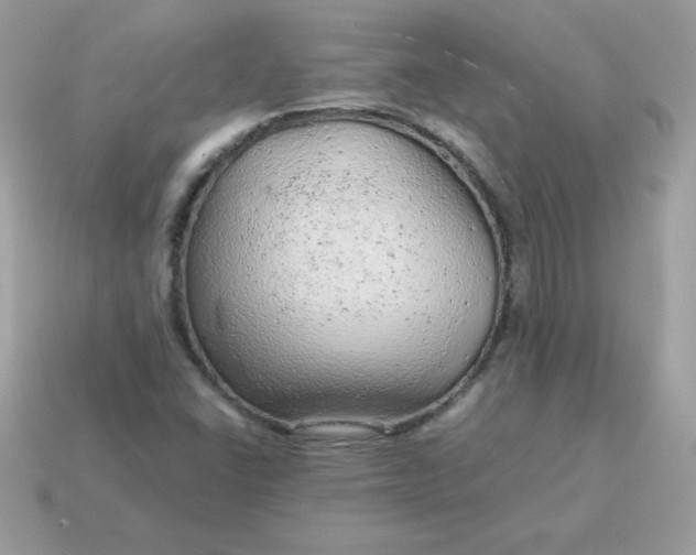 X0000115151406200911101720