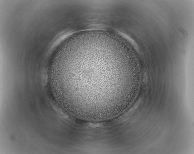 X0000115151407200911101720