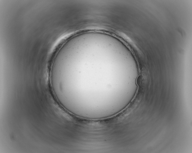 X0000115151408200911101720