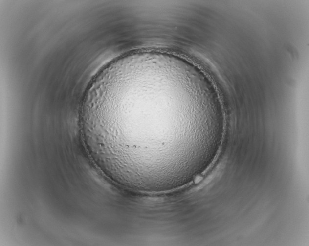 X0000115151409200911101720