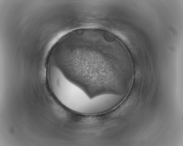 X0000115151414200911101720