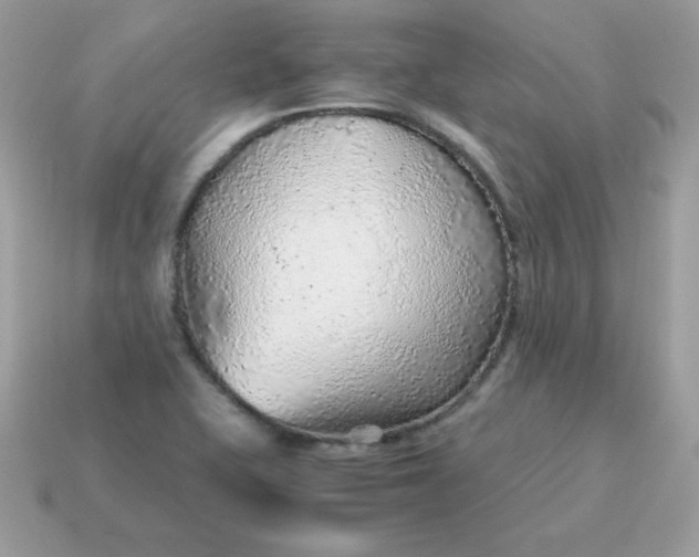 X0000115151415200911101720