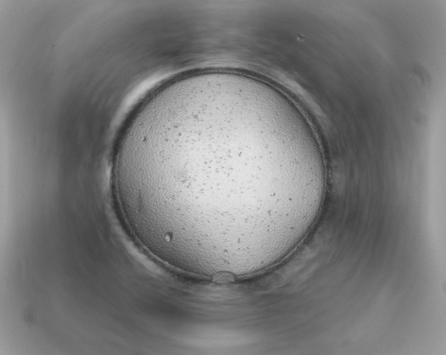 X0000115151416200911101720