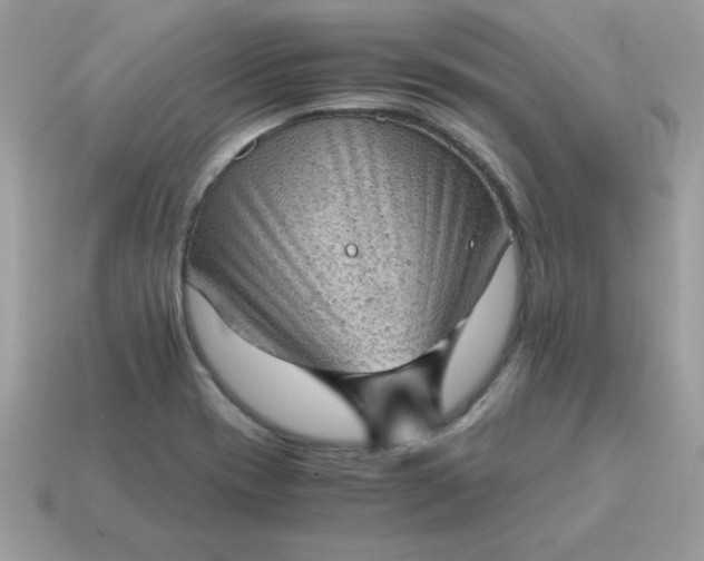 X0000115151417200911101720