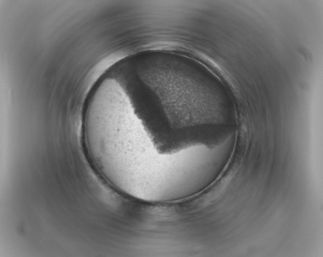X0000115151418200911101720