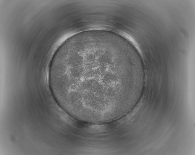 X0000115151419200911101720