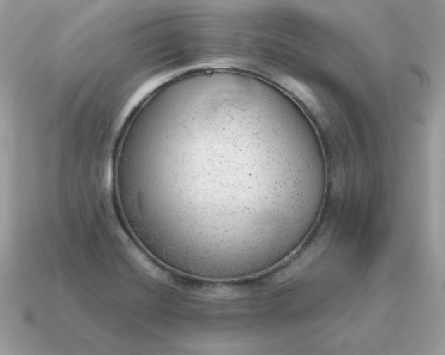 X0000115151420200911101720