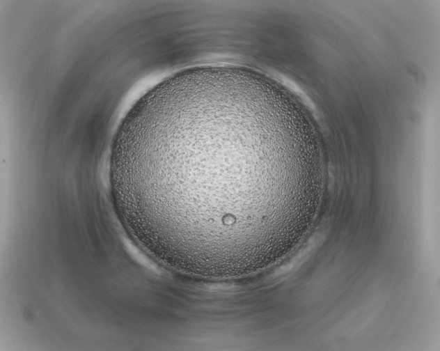 X0000115151421200911101720