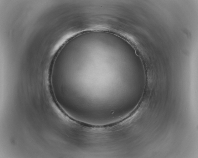 X0000115151422200911101720