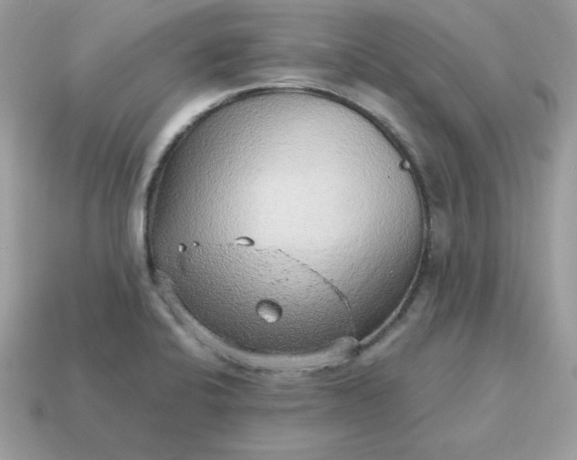 X0000115151424200911101720