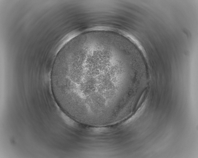 X0000115151425200911101720