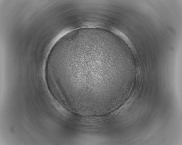 X0000115151427200911101720