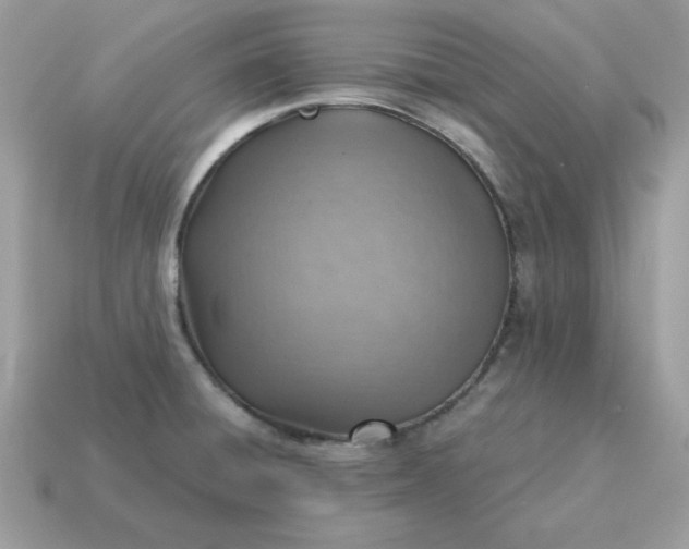 X0000115151428200911101720