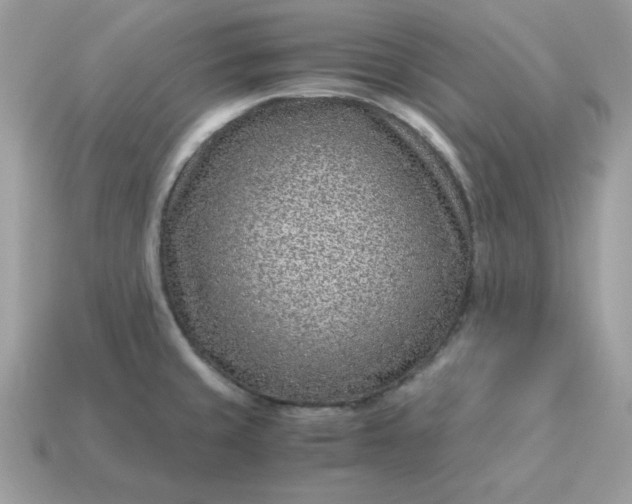X0000115151429200911101720