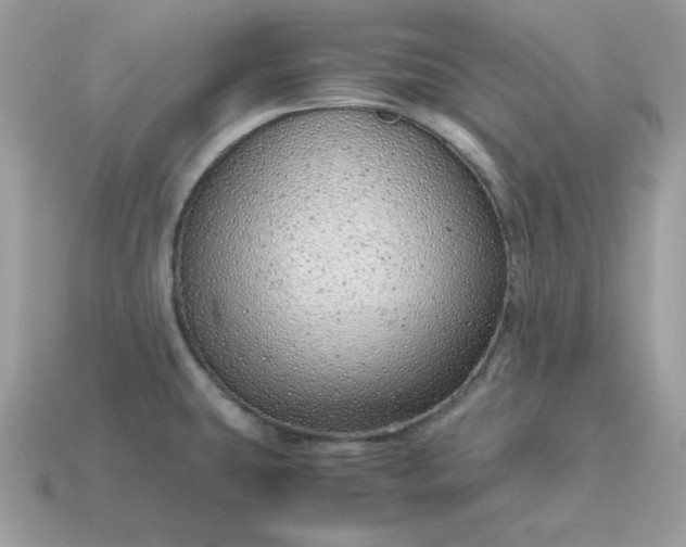 X0000115151431200911101720