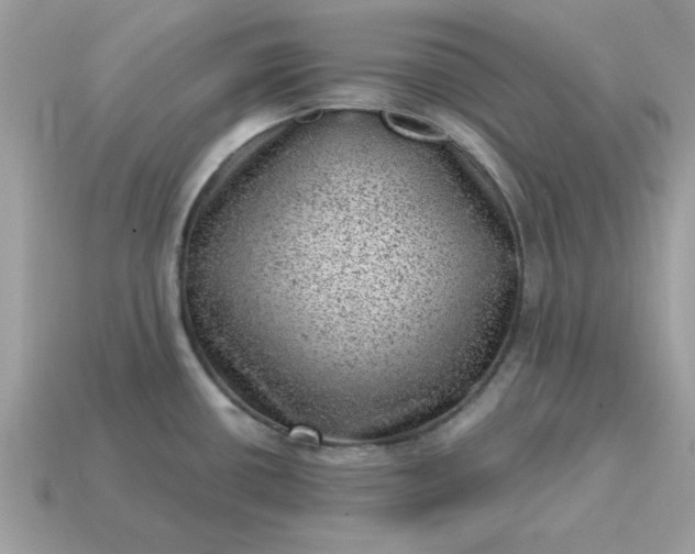 X0000115151434200911101720