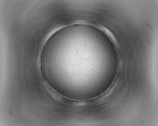 X0000115151435200911101720