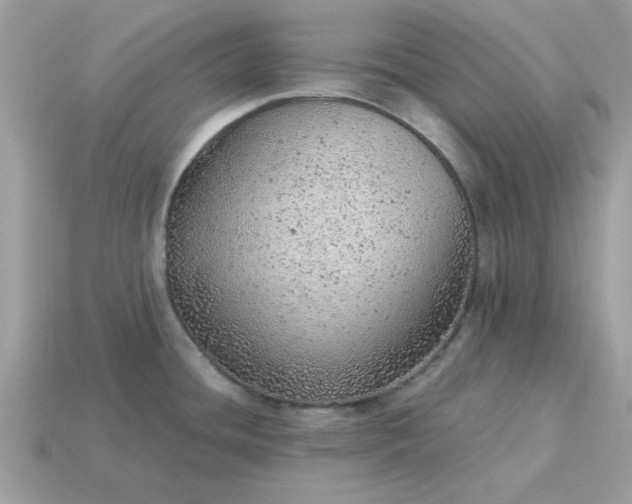 X0000115151436200911101720