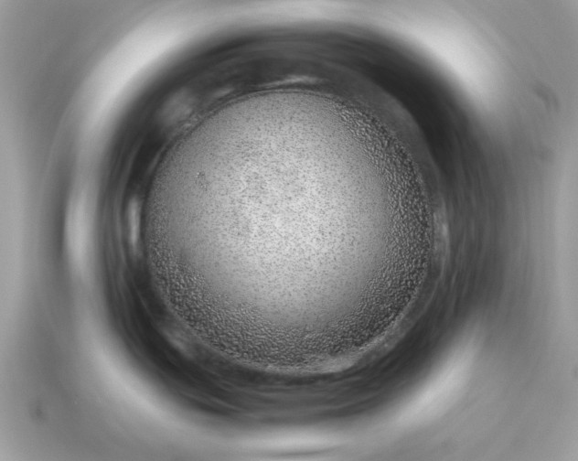 X0000115151439200911101720