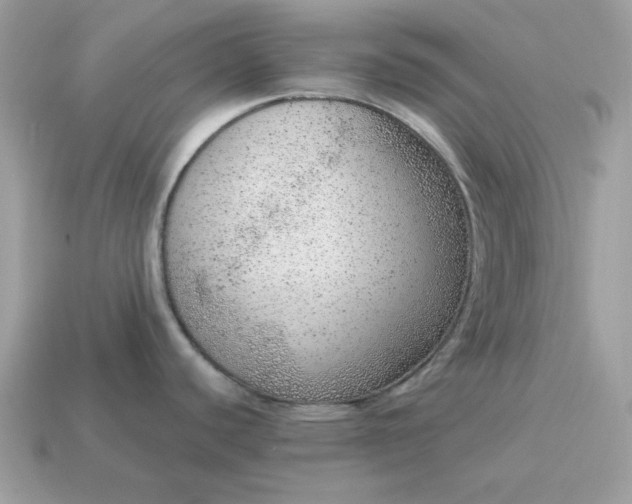 X0000115151440200911101720