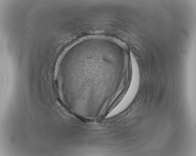 X0000115151441200911101719