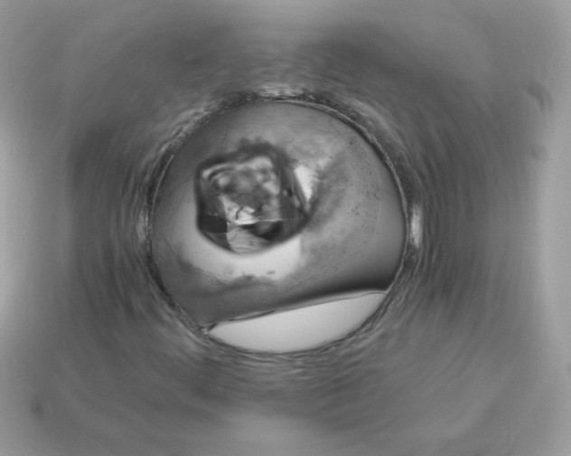 X0000115151444200911101719
