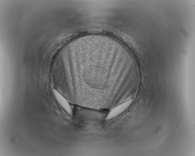 X0000115151445200911101719