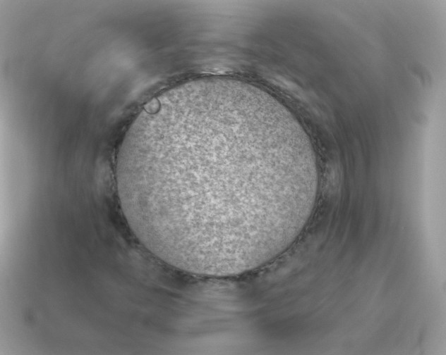 X0000115151446200911101719