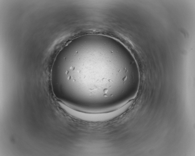 X0000115151447200911101719