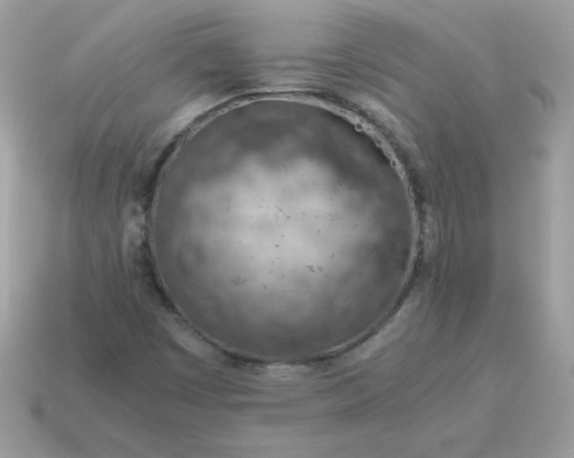 X0000115151449200911101719