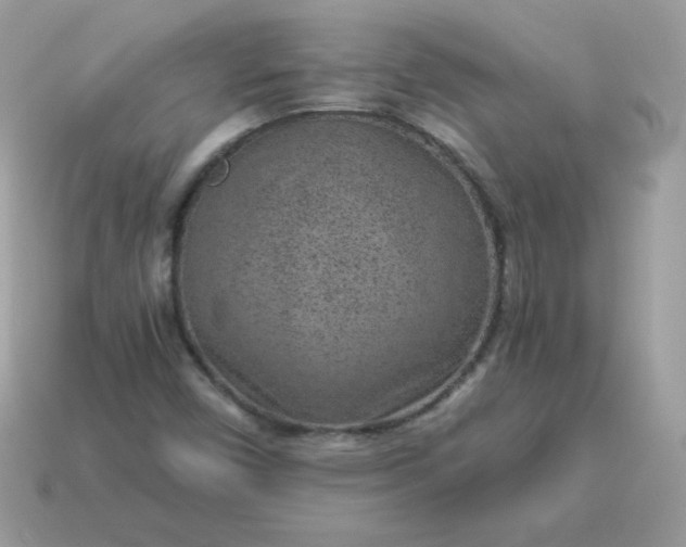 X0000115151450200911101719