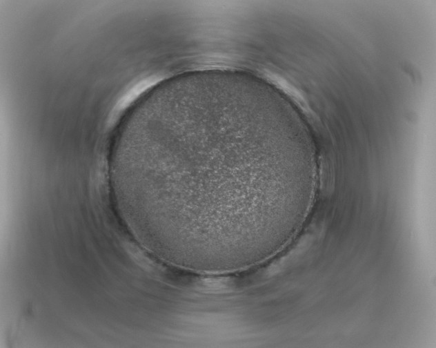 X0000115151453200911101719