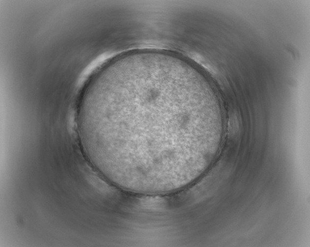X0000115151454200911101719