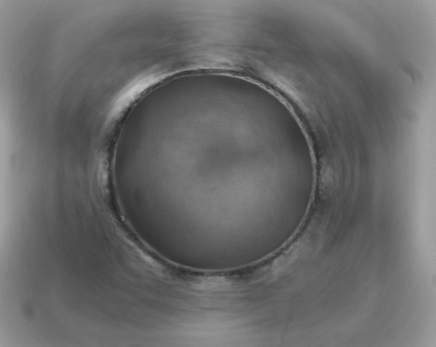 X0000115151455200911101719