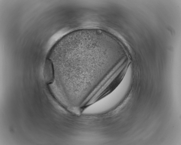 X0000115151461200911101719