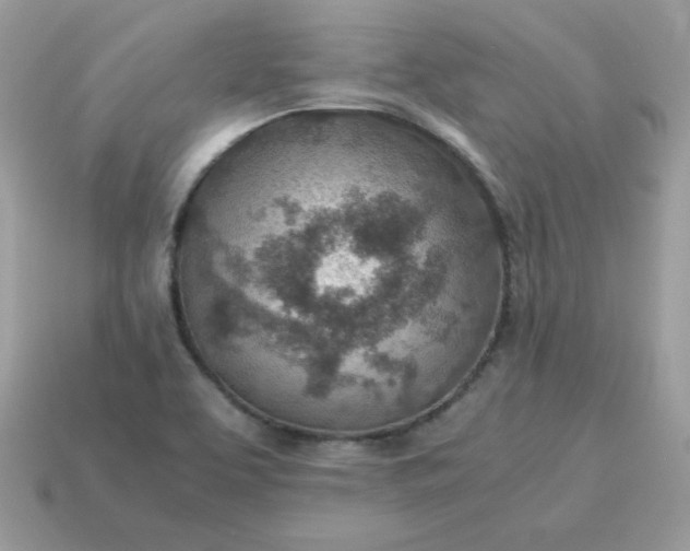 X0000115151463200911101719