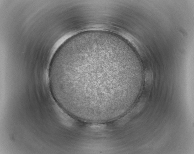 X0000115151466200911101719