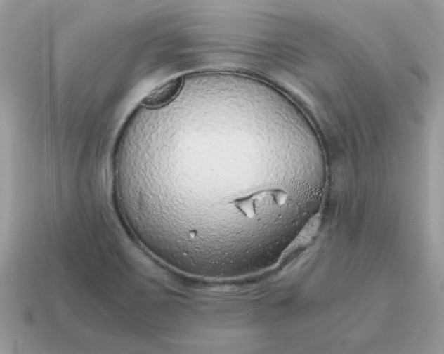 X0000115151467200911101719