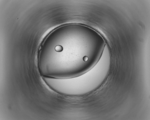 X0000115151468200911101719