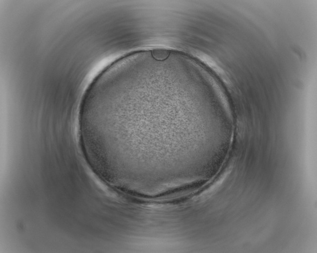 X0000115151469200911101719